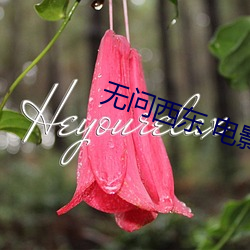 无问西东 电影