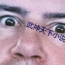 武神天(tiān)下小说