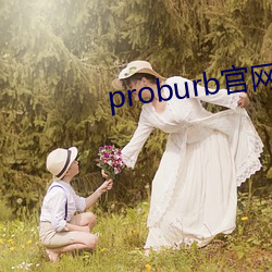 proburb官网链接