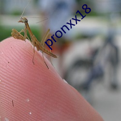 pronxx18