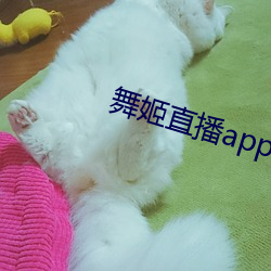 舞姬直播(bō)app网站(zhàn)