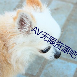 AV無限資源吧