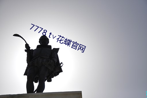 7778 t∨花蝶官网