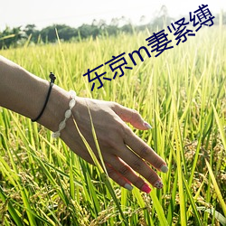 vwinӮ(й) - ٷվ