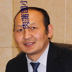 肉蒲团小说 （官员）