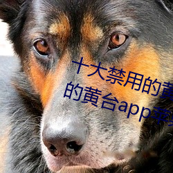 十(十)大禁(禁)用的(的)黄(黃)台app苹果(果):十大禁(禁)用的黄台app苹果无(無)限观(觀)看