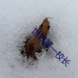 世(世)界第一校长