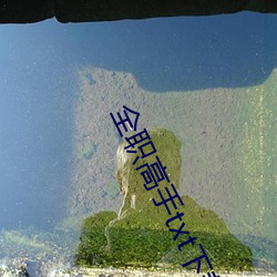 全职高手txt下载