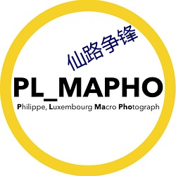 仙路爭鋒