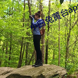 小白兔黄台app