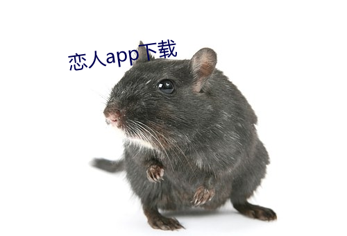 情人(人)app下载