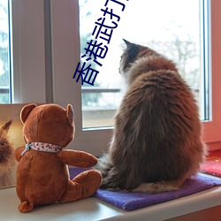 香(香)港(港)武打女星