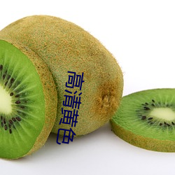 高清黄色