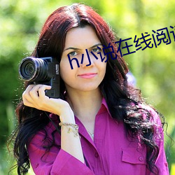 h小说在线阅读