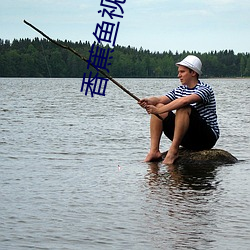 香蕉鱼视频(pín)免费