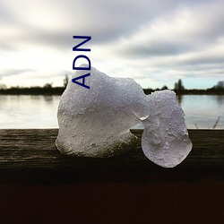 ADN