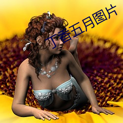 丁香五月圖片