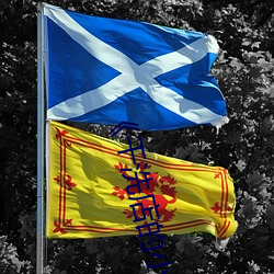 《干洗店的小信(信)》