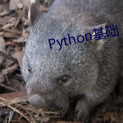 乐虎国际·lehu(中国)官方网站登录