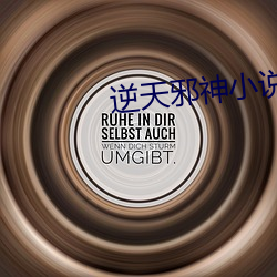 逆天邪神小說