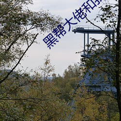 黑帮大佬和我的(的)365日(日)第二