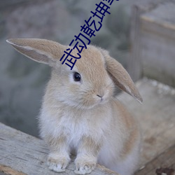 尊龙凯时·(中国)官方网站