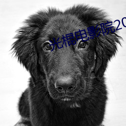 AG真人平台(中国)官方网站