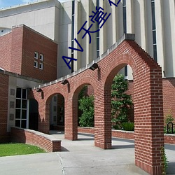 АⅤ天堂 在线 （无稽之言）