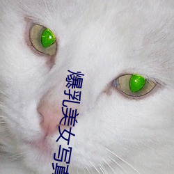 爆乳美女寫真