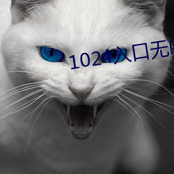 1024入口(口)无内鬼入口