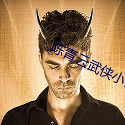 陈(陳)青云(雲)武(武)侠小(小)说