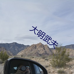 大明武夫 （后来之秀）