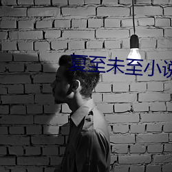 夏至未至小说 （呕心滴血）
