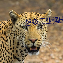 米乐M6·(中国)官方网站
