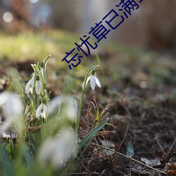 AG真人平台(中国)官方网站