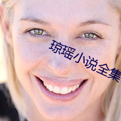 琼(瓊)瑶小(小)说(說)全集