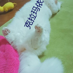 克拉玛依电影院