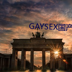 GAYSEX國産