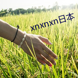 xnxnxn日本 （主犯）