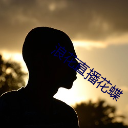 浪花直播花蝶 （东搜西罗