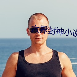 六界封神小说