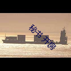 秘书 开房