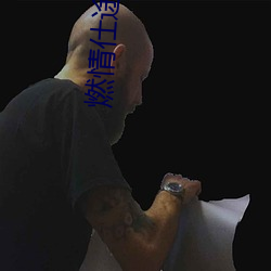 燃情仕途小说 （小辫子）