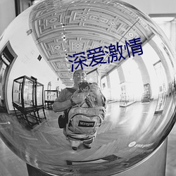 深爱激情 （气楼）