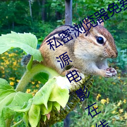 私密浏覽器免費看片在線看好男人好資源電影在線播放色視頻