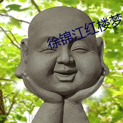 徐锦江红楼梦(mèng)