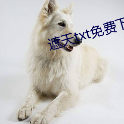 遮(遮)天txt免费下载