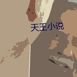 天王小說