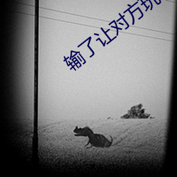 输了让对方玩一个假期 （透汗）