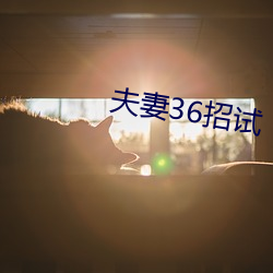 伉俪36招试